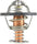 243-195 Thermostat