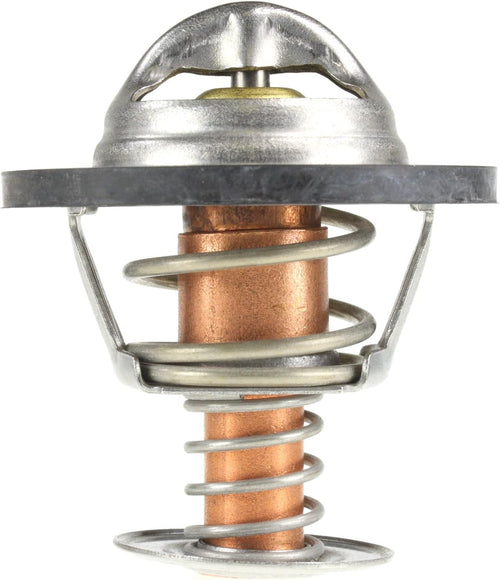 243-195 Thermostat