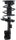 Roadmatic 282605 Suspension Strut and Coil Spring Assembly