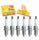 6 Pc NGK Standard Spark Plugs Compatible with Mercedes-Benz E320 3.2L L6 1994-1997