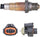 234-4496 Oxygen Sensor