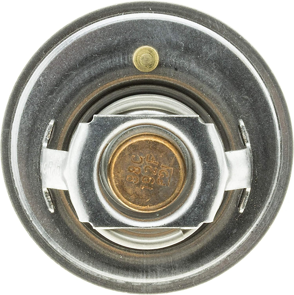 33489 Thermostat