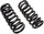 MOOG 6454 Coil Spring Set