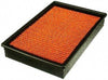 PPA5056 Air Hog Panel Filter