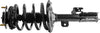 282307 Roadmatic Complete Strut Assembly