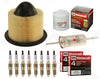 MOTORCRAFT Tune up Kit Spark Plug Oil Air Fuel for Ford Mustang E150 F150 4.6L