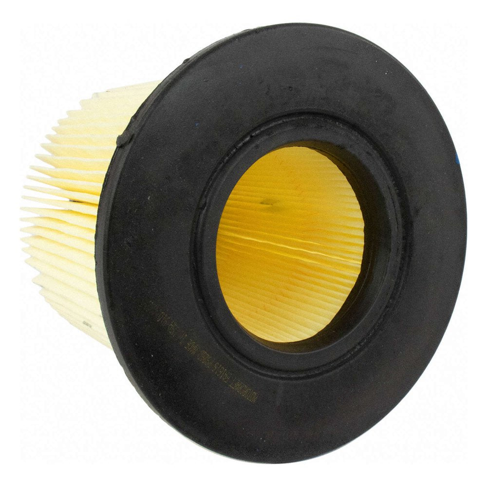 Original Equipment Engine Air Filter: Standard Duty, Manufactured to Meet Ford'S Standards