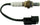 25195 Oxygen Sensor
