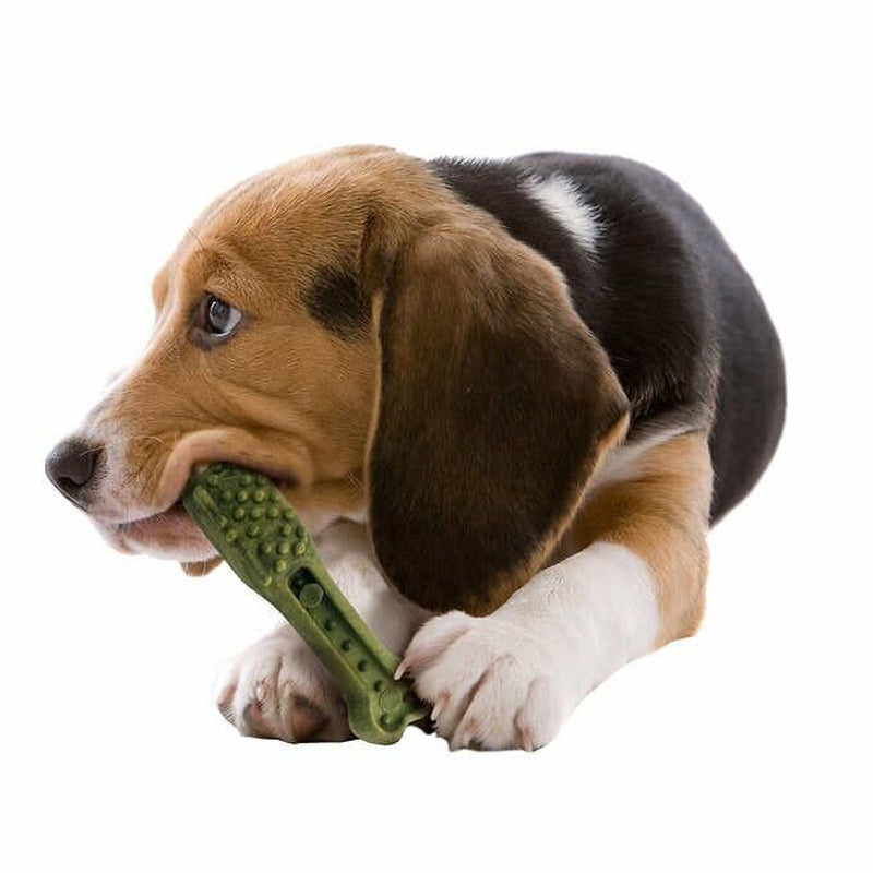 Kirkland Signature Dental Chews 72 Dog Treats, Green, Made in the USA!