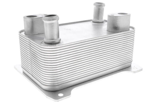 Automatic Transmission Oil Cooler for A8 Quattro, Passat, Phaeton V15-60-0009