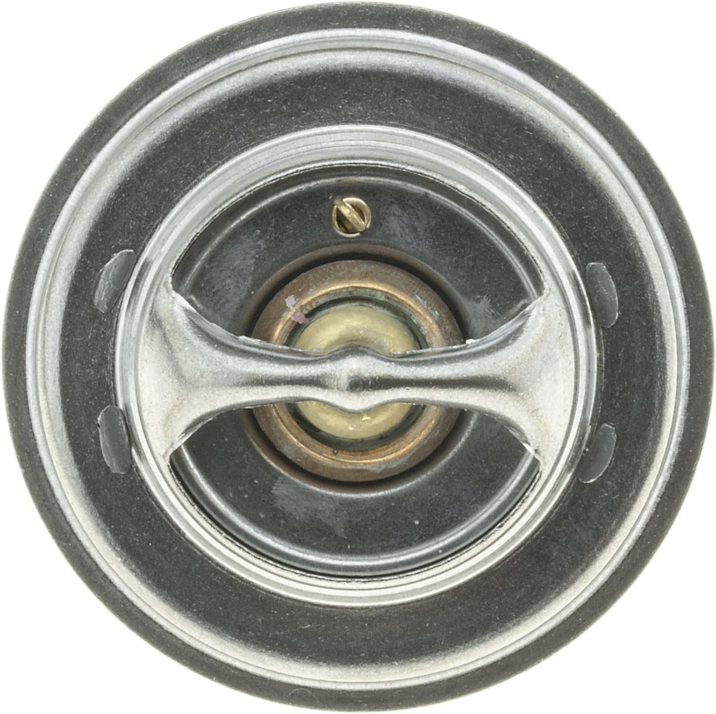 274-174 Thermostat
