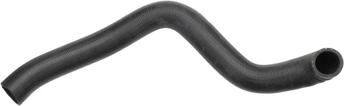 21730 Lower Radiator Hose