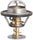 13889 Engine Coolant Thermostat