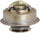 13919 Engine Coolant Thermostat