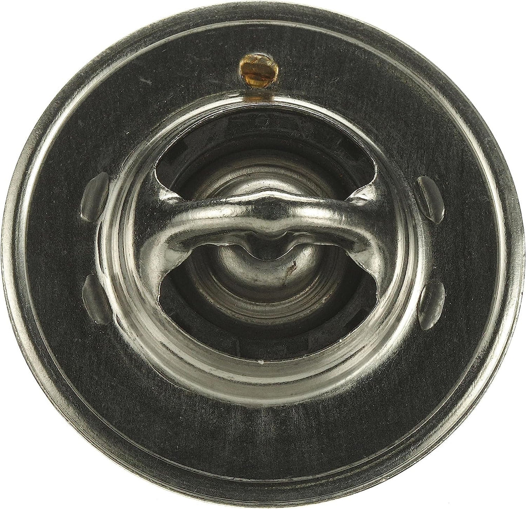 33469S Premium Thermostat