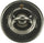 33469S Premium Thermostat