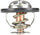 416-203 Engine Coolant Thermostat