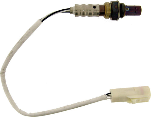 22060 Oxygen Sensor