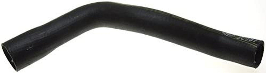 Gold 24034L Molded Lower Radiator Hose