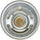 241-170 Thermostat