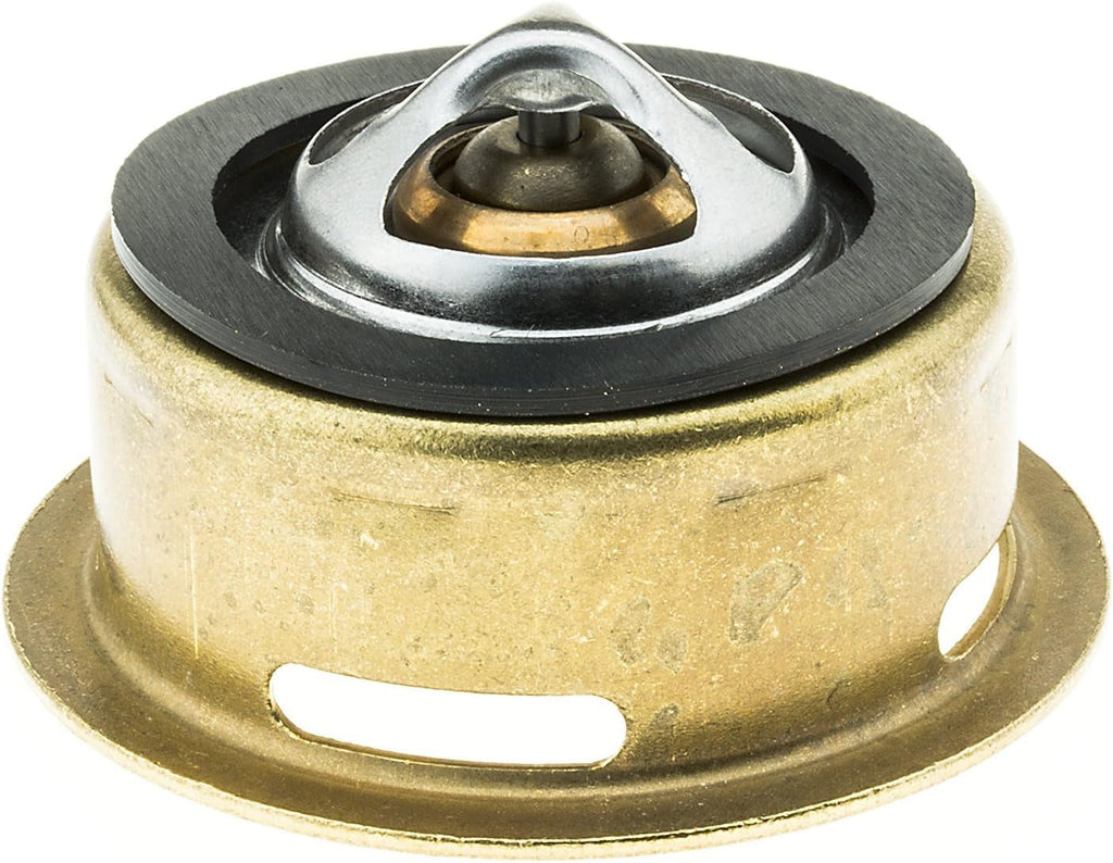 245-180 Thermostat with Seal