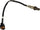 234-4851 Oxygen Sensor