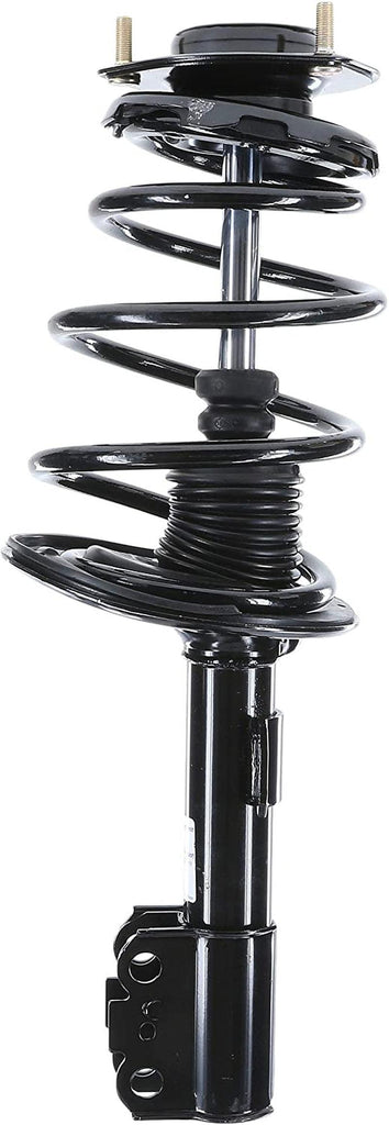 182941 Suspension Strut and Coil Spring Assembly
