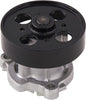 41069 Premium Engine Water Pump