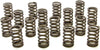 PAC-1210X 1.245 Single Valve Spring