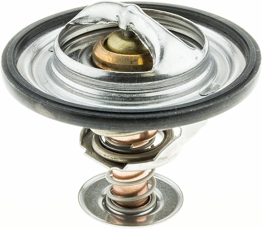 301-192 Thermostat with Seal