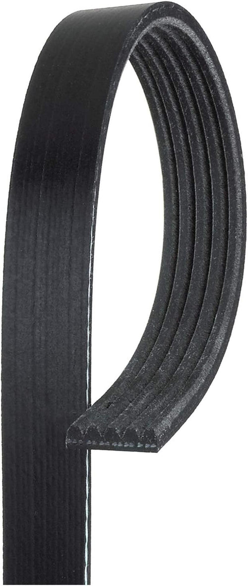 Gold 5K355 Standard V-Ribbed Serpentine Belt