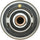 228-170 Thermostat