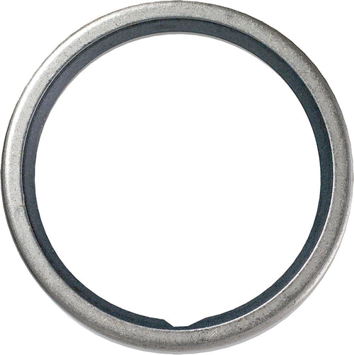 25020 Thermostat Seal
