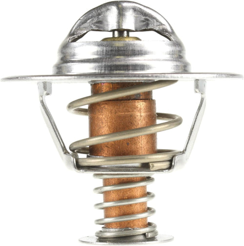 227-195 Thermostat
