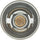233-192 Thermostat