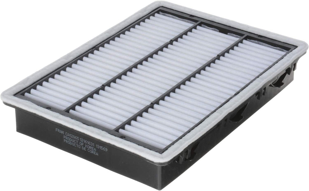 Extra Guard Engine Air Filter Replacement, Easy Install W/ Advanced Engine Protection and Optimal Performance, CA12065 for Select Hyundai and Kia Vehicles