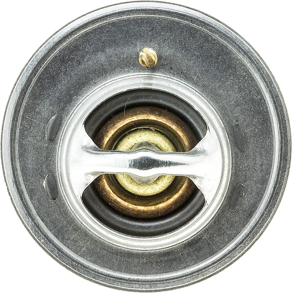 33479 Thermostat