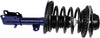 Roadmatic 181572L Strut and Coil Spring Assembly