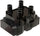GN10295 Ignition Coil