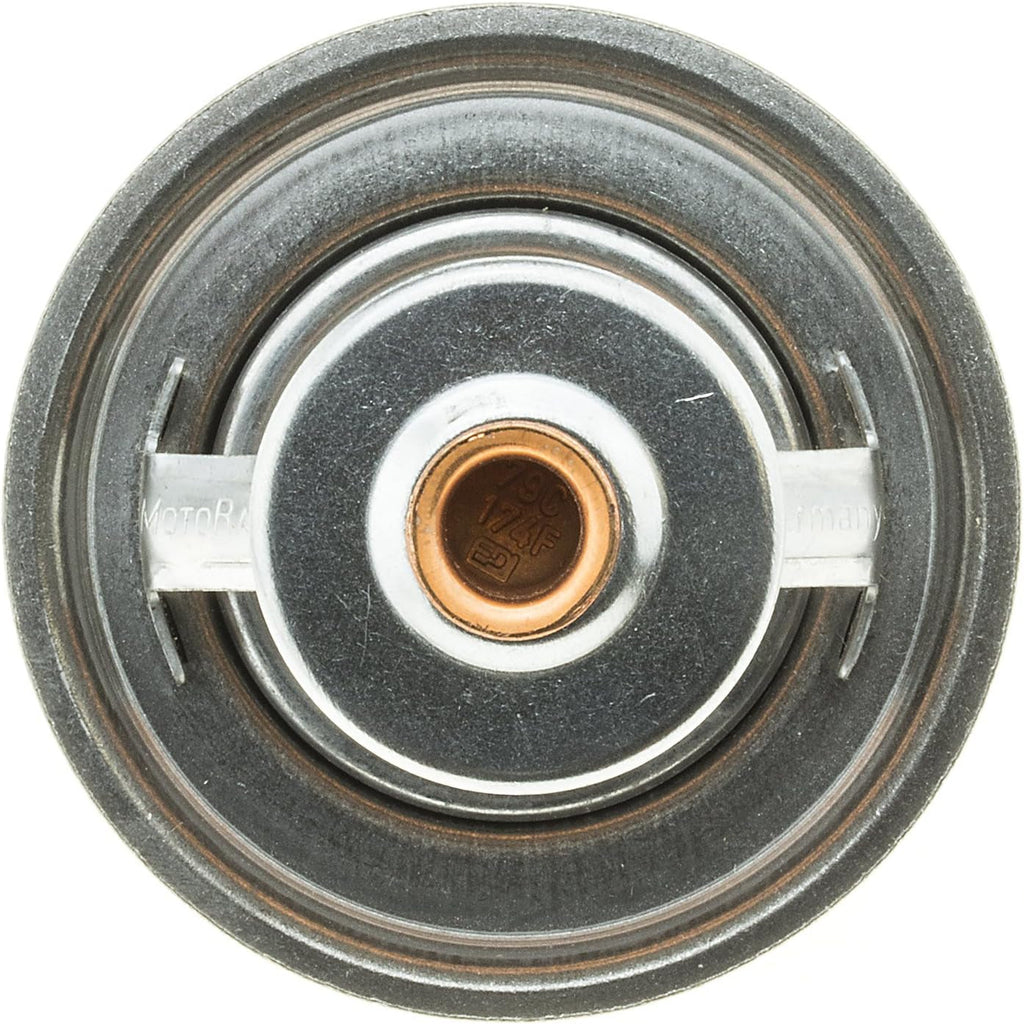 274-174 Thermostat