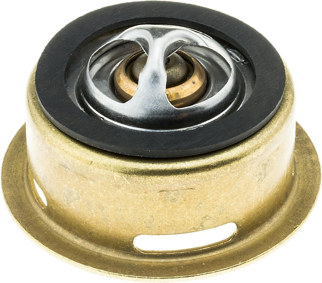 245-180 Thermostat with Seal