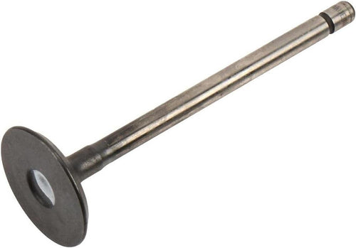 12621548 Engine Exhaust Valve