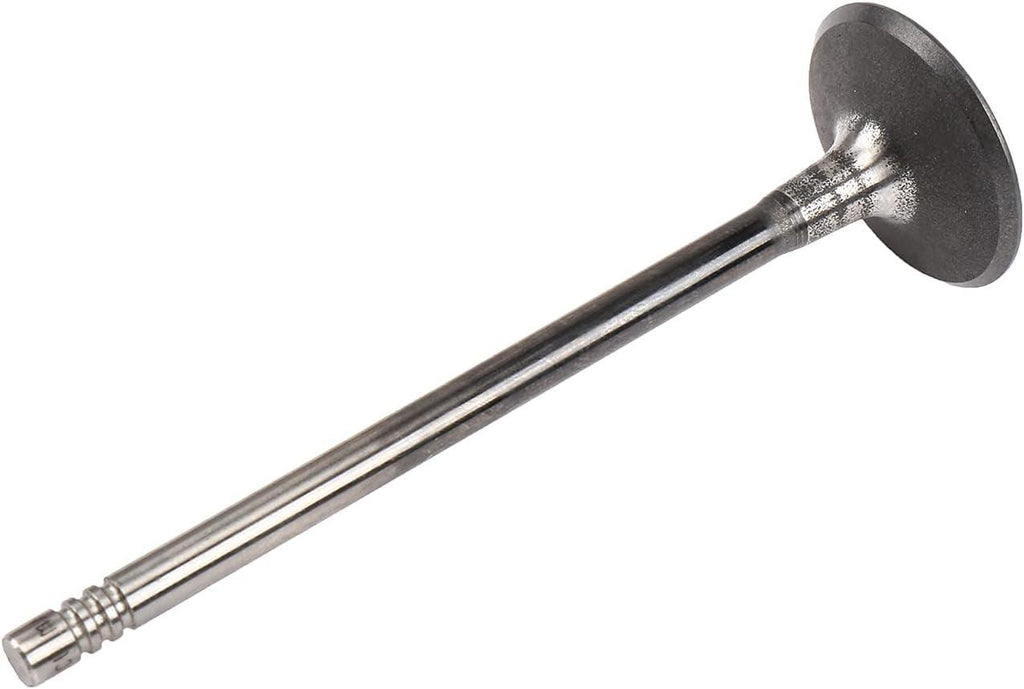 55568831 Engine Intake Valve