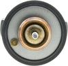 Motorad  Thermostat Insert