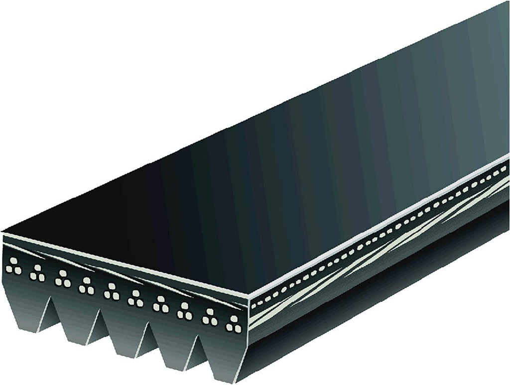 Gold 5K355 Standard V-Ribbed Serpentine Belt