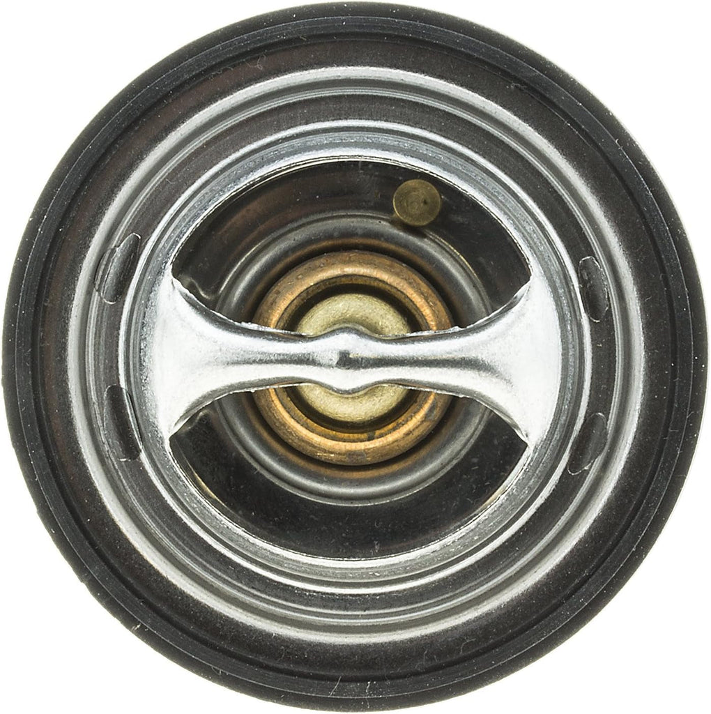 301-192 Thermostat with Seal