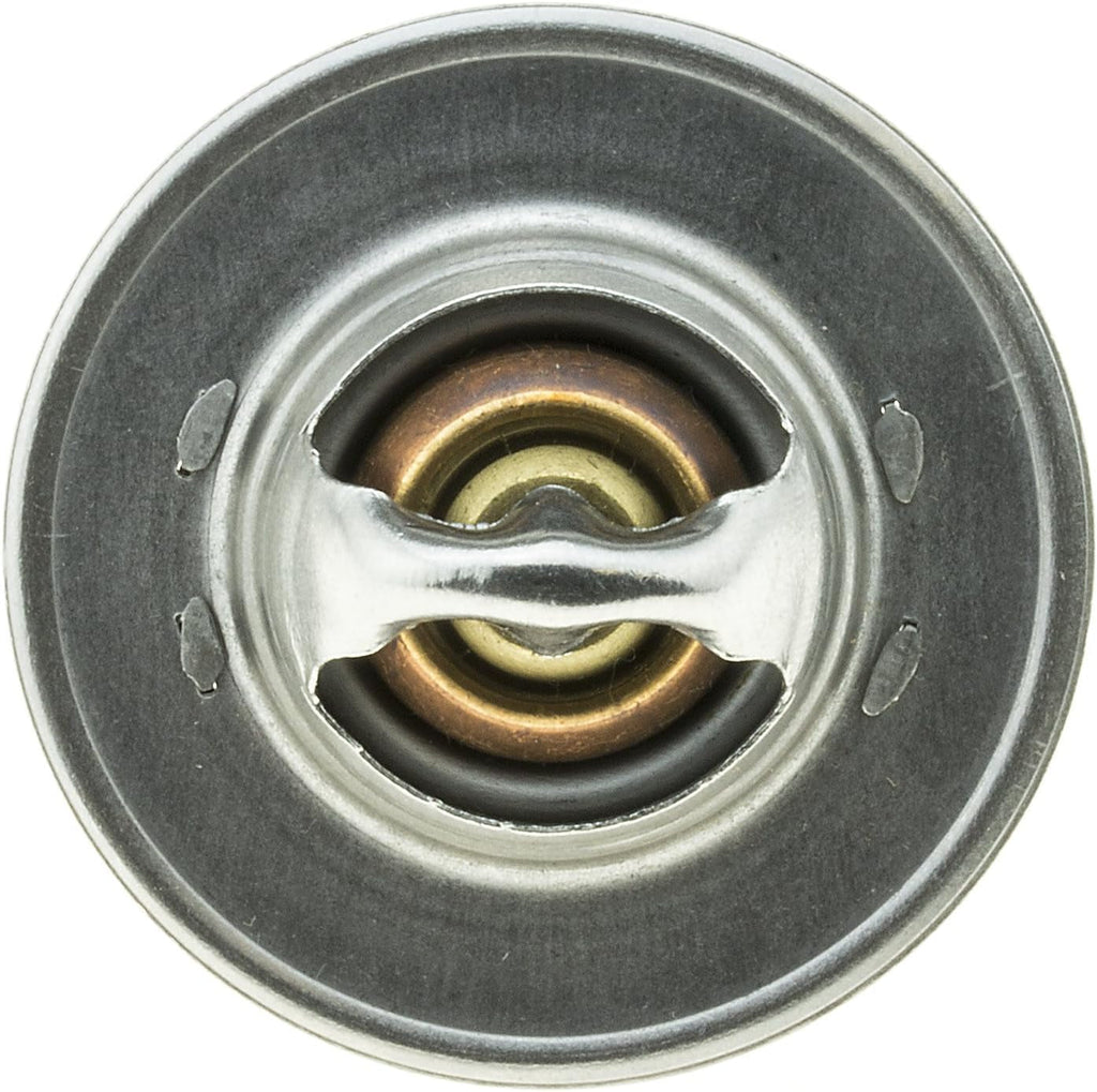 226-160 Thermostat