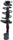 182766 Suspension Strut and Coil Spring Assembly