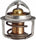 49108 Engine Coolant Thermostat