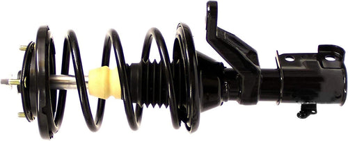 Roadmatic 182185 Strut and Coil Spring Assembly